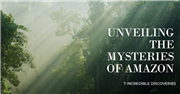 Unveiling the Amazon: The Enigmatic Rainforest Knowledge